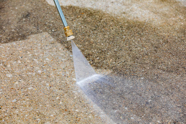 Best Window and Screen Pressure Cleaning in Conehatta, MS
